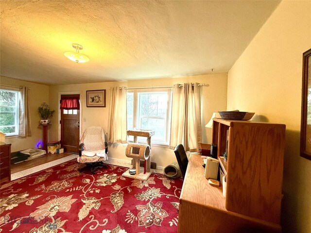 4 Mule Deer Loop, Drummond, MT 59832 - photo 13