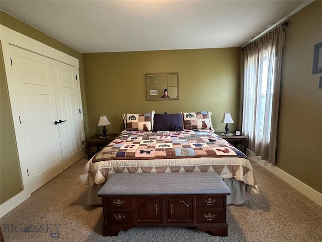 64 Mountain View Trl, White Sulphur Springs, MT 59645 - bedroom featuring carpet floors and a closet