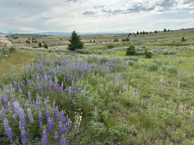 64 Mountain View Trl, White Sulphur Springs, MT 59645 - view of local wilderness featuring rural landscape