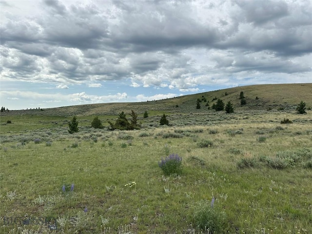 64 Mountain View Trl, White Sulphur Springs, MT 59645 - view of local wilderness with rural landscape