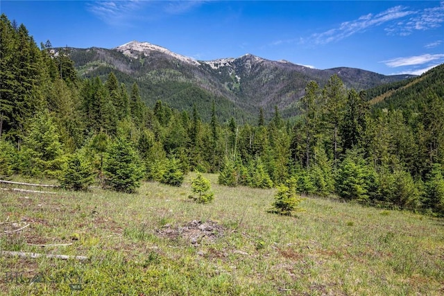 189 Blue Creek Rd, Heron, MT 59844 - view of mountain backdrop featuring a heavily wooded area