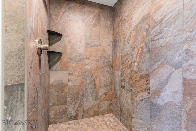 189 Blue Creek Rd, Heron, MT 59844 - full bathroom with tiled shower