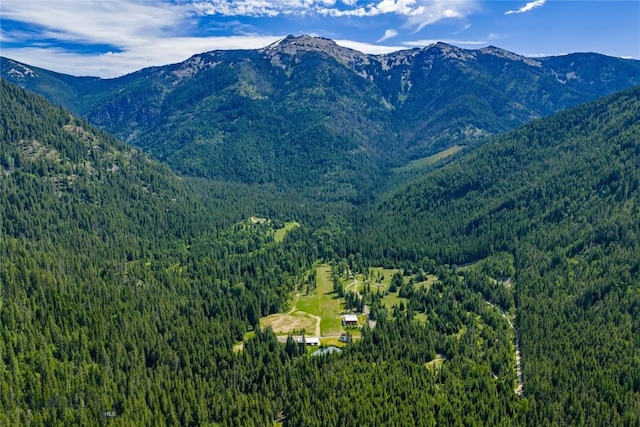 189 Blue Creek Rd, Heron, MT 59844 - view of mountain backdrop featuring a heavily wooded area