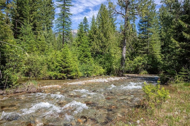 189 Blue Creek Rd, Heron, MT 59844 - view of tree filled area