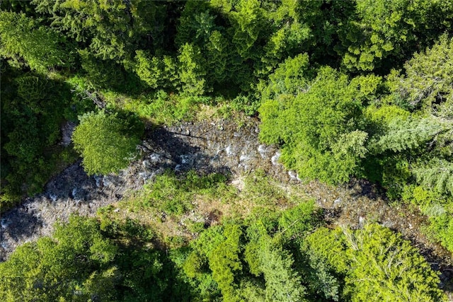 189 Blue Creek Rd, Heron, MT 59844 - bird's eye view