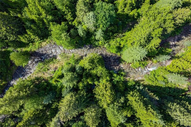 189 Blue Creek Rd, Heron, MT 59844 - aerial view of property and surrounding area