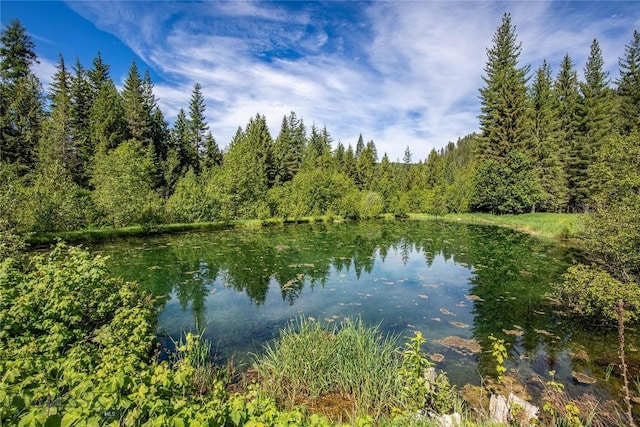 189 Blue Creek Rd, Heron, MT 59844 - water view with a forest