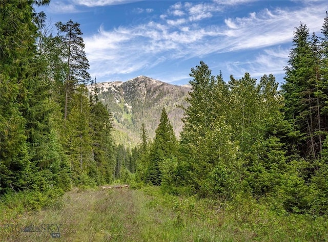 189 Blue Creek Rd, Heron, MT 59844 - view of mountain backdrop featuring a heavily wooded area