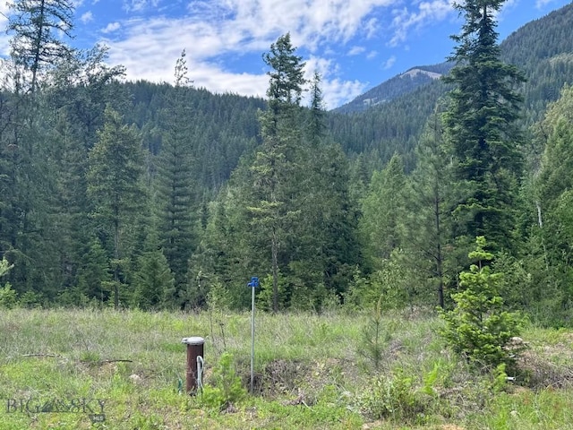 189 Blue Creek Rd, Heron, MT 59844 - view of mountain background with a heavily wooded area