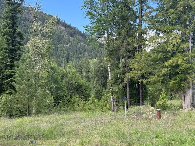 189 Blue Creek Rd, Heron, MT 59844 - view of woods