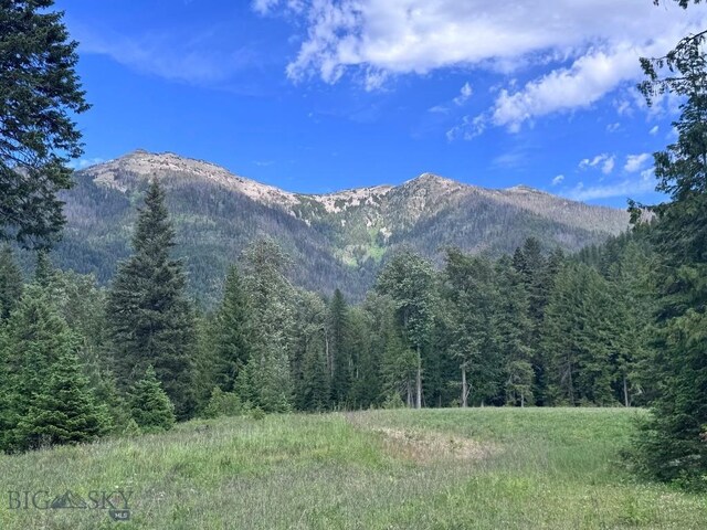 189 Blue Creek Rd, Heron, MT 59844 - view of mountain background featuring a forest