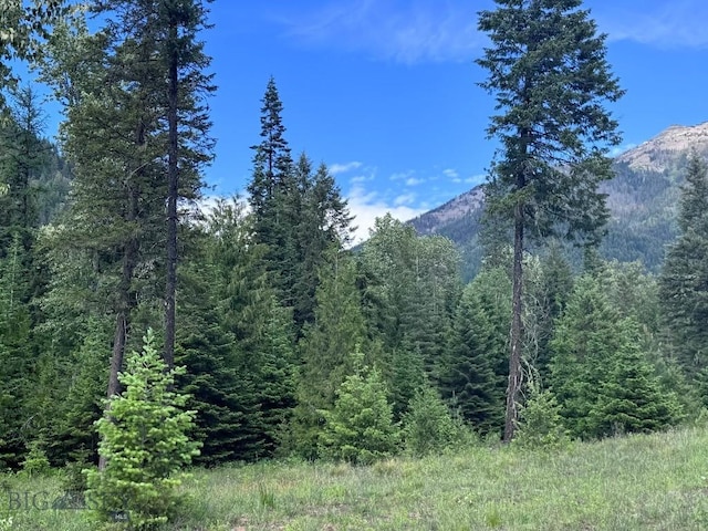 189 Blue Creek Rd, Heron, MT 59844 - mountain view with a forest