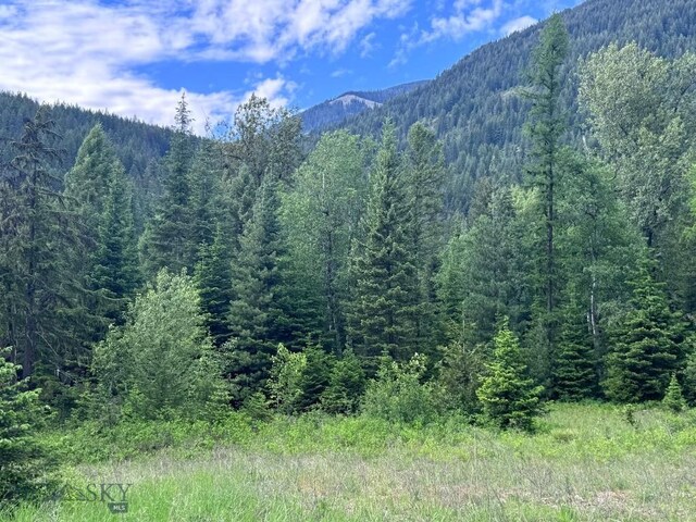 189 Blue Creek Rd, Heron, MT 59844 - mountain view with a forest