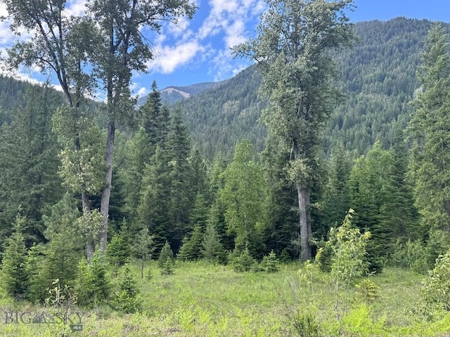189 Blue Creek Rd, Heron, MT 59844 - view of mountain backdrop featuring a forest