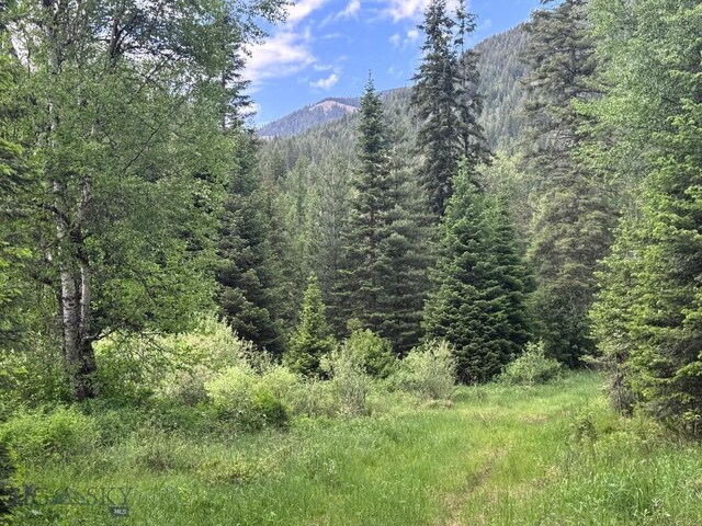 189 Blue Creek Rd, Heron, MT 59844 - view of mountain background featuring a forest