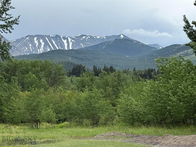 225 Mountain View Dr S, Anaconda, MT 59711 - mountain view featuring a forest