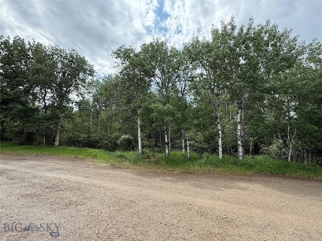 225 Mountain View Dr S, Anaconda, MT 59711 - view of street