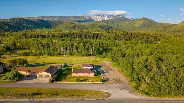 225 Mountain View Dr S, Anaconda, MT 59711 - view of subject property featuring a forest and a mountainous background