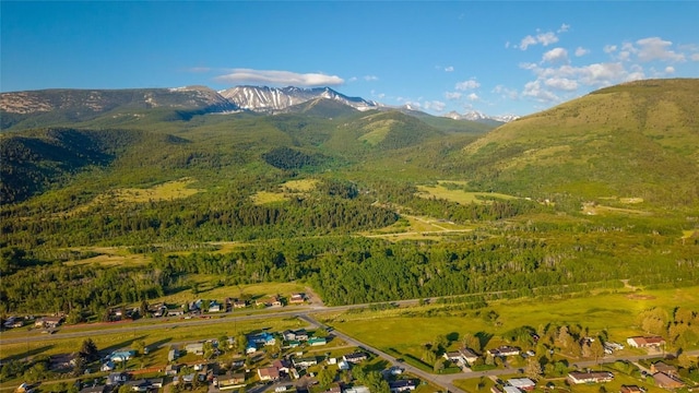 225 Mountain View Dr S, Anaconda, MT 59711 - view of mountain background with a heavily wooded area