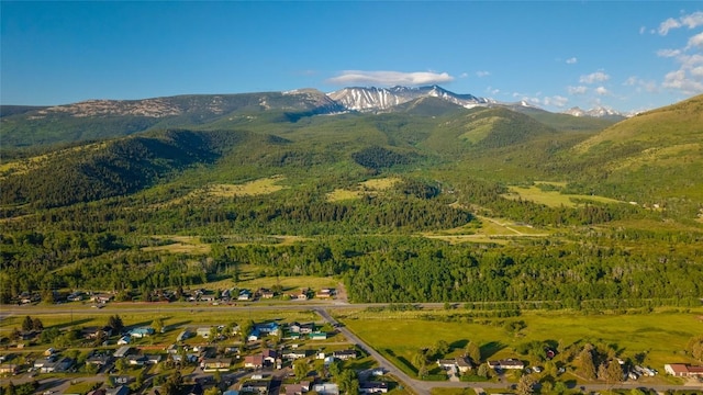 225 Mountain View Dr S, Anaconda, MT 59711 - mountain view featuring a forest