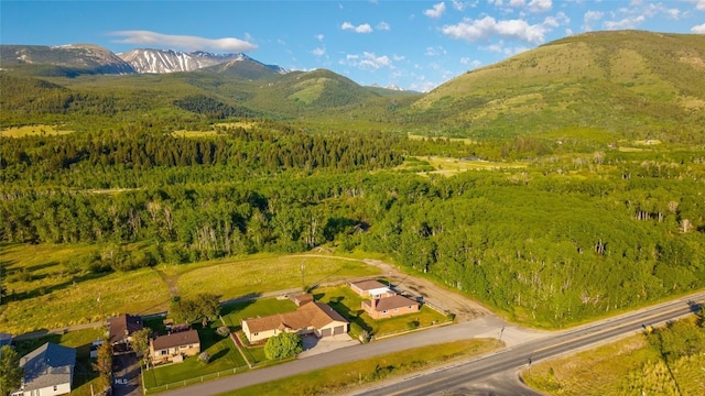 225 Mountain View Dr S, Anaconda, MT 59711 - drone / aerial view of mountains and a forest