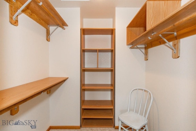 507 E Poppleton, Sheridan, MT 59749 - walk in closet featuring carpet floors