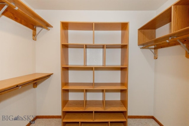 507 E Poppleton, Sheridan, MT 59749 - spacious closet featuring carpet floors
