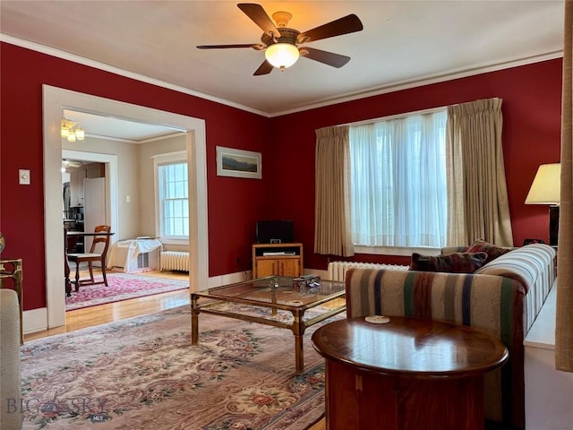 108 S 8th St, Livingston, MT 59047 - living area with a ceiling fan, radiator heating unit, wood finished floors, and ornamental molding
