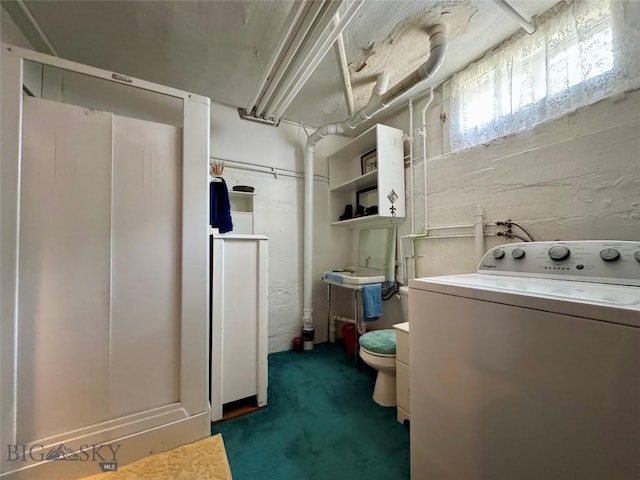 108 S 8th St, Livingston, MT 59047 - below grade area with washer / clothes dryer and dark carpet