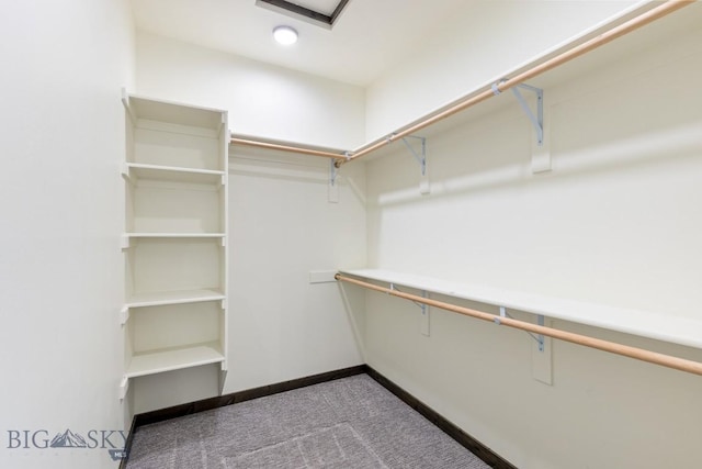 142 Albrey Trl Unit C, Bozeman, MT 59718 - spacious closet featuring carpet floors