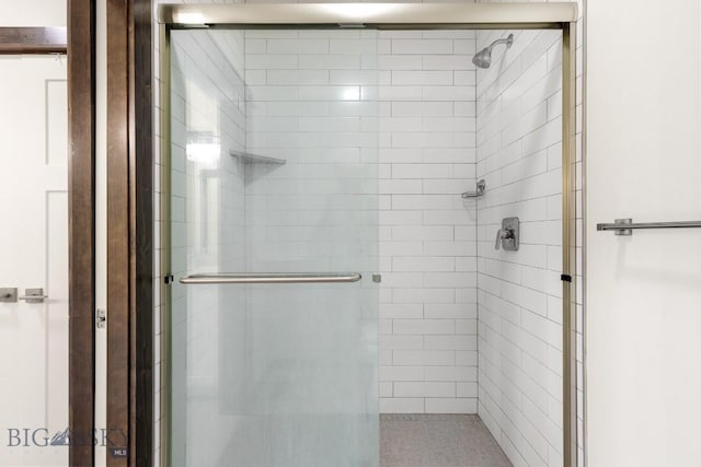 142 Albrey Trl Unit C, Bozeman, MT 59718 - bathroom with a stall shower