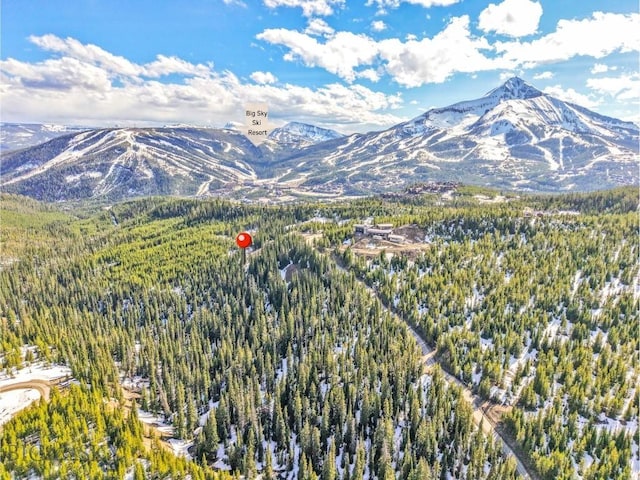 NHN Joy Rd, Big Sky, MT 59716 - photo 5