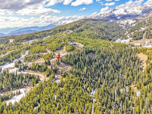 NHN Joy Rd, Big Sky, MT 59716 - photo 7