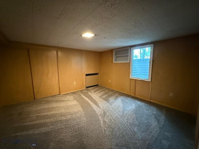 2821 Edwards, Butte, MT 59701 - below grade area with radiator heating unit and carpet floors