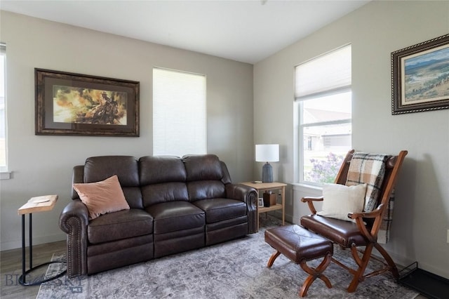 4454 Shadow Gln, Bozeman, MT 59718 - living area featuring wood finished floors and baseboards