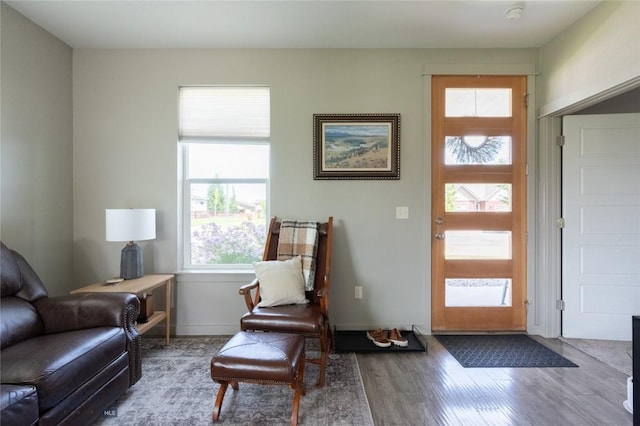 4454 Shadow Gln, Bozeman, MT 59718 - foyer entrance featuring healthy amount of natural light and wood finished floors