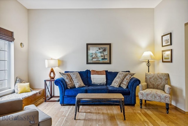 2801 W Villard St, Bozeman, MT 59718 - living room featuring light wood finished floors and baseboards