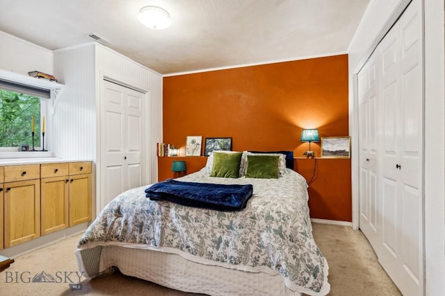 2801 W Villard St, Bozeman, MT 59718 - bedroom with ornamental molding, light carpet, and two closets