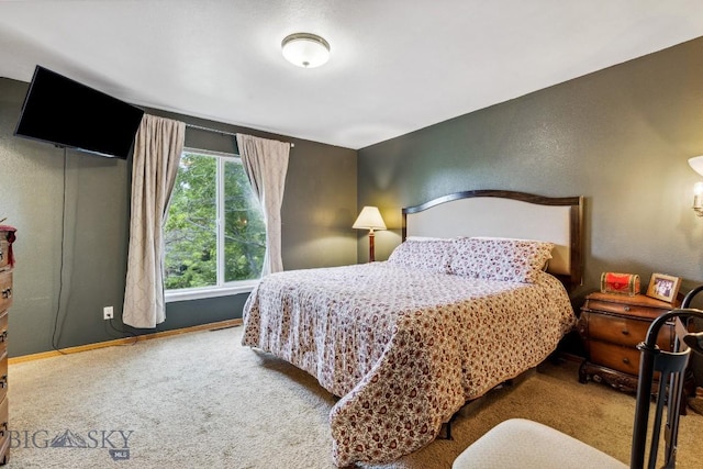 2801 W Villard St, Bozeman, MT 59718 - carpeted bedroom featuring baseboards