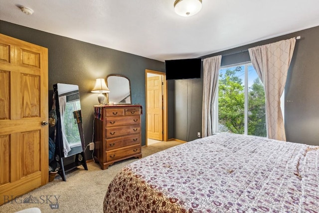 2801 W Villard St, Bozeman, MT 59718 - bedroom with light carpet and a textured wall