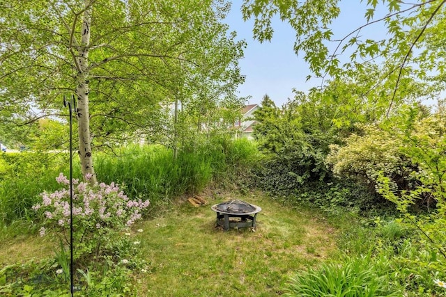 2801 W Villard St, Bozeman, MT 59718 - view of yard with a fire pit