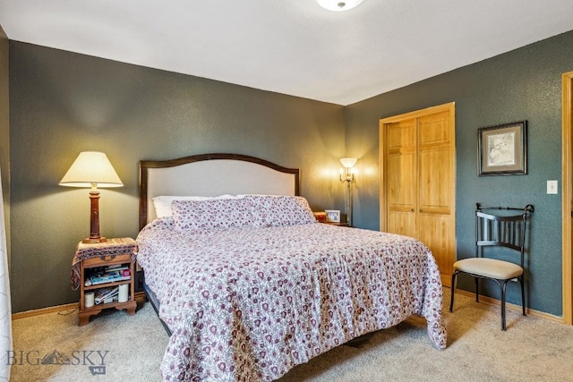 2801 W Villard St, Bozeman, MT 59718 - bedroom with a textured wall, a closet, and carpet