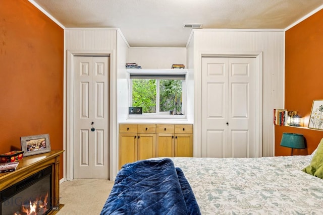 2801 W Villard St, Bozeman, MT 59718 - bedroom with ornamental molding, two closets, light colored carpet, and a glass covered fireplace