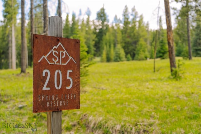 LOT205 Outlook Trl, Big Sky, MT 59716