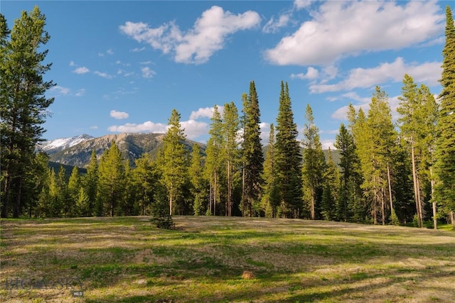 LOT205 Outlook Trl, Big Sky, MT 59716