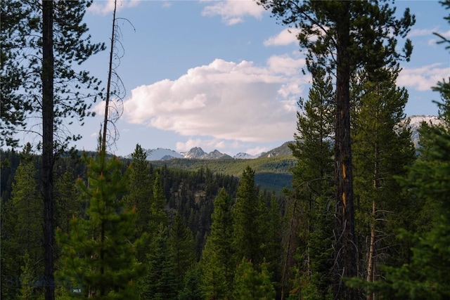 LOT205 Outlook Trl, Big Sky, MT 59716