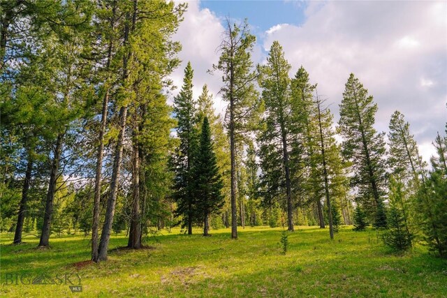 LOT205 Outlook Trl, Big Sky, MT 59716