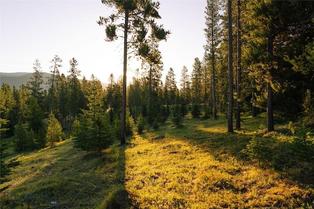 LOT205 Outlook Trl, Big Sky, MT 59716
