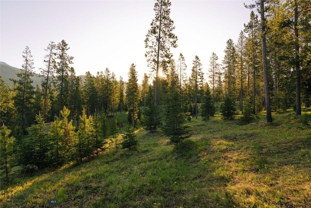 LOT205 Outlook Trl, Big Sky, MT 59716