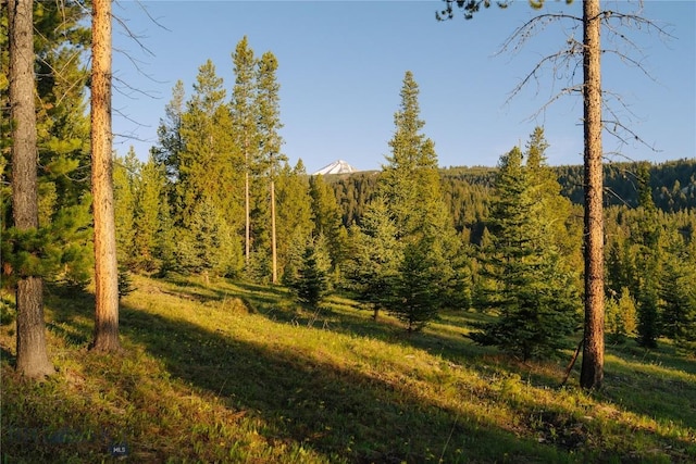 LOT205 Outlook Trl, Big Sky, MT 59716